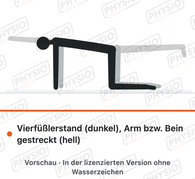 Vorschau: Vierfüßlerstand: Arm oder Bein einzeln strecken