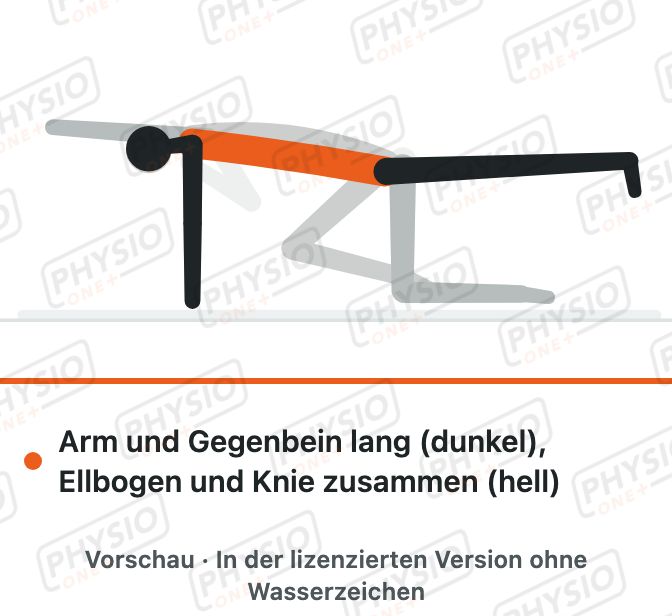Vorschau: Vierfüßlerstand: Ellbogen zum Knie