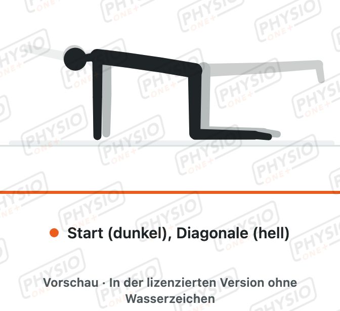 Vorschau: Diagonaler Vierfüßlerstand