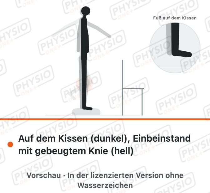 Vorschau: Einbeinstand auf dem Balancekissen
