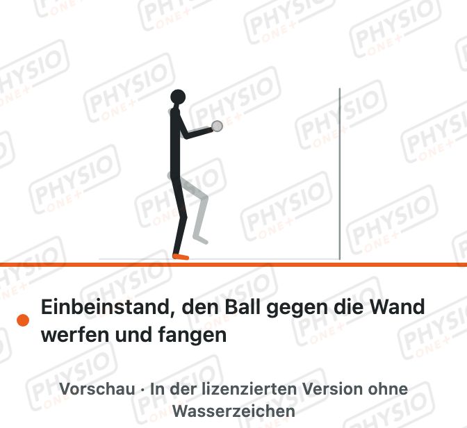Vorschau: Einbeinstand mit Ballfangen