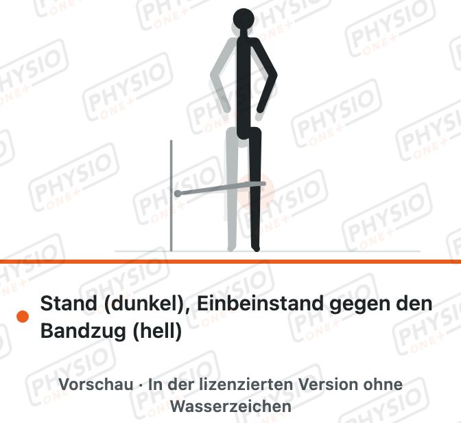 Vorschau: Einbeinstand mit gebeugtem Knie und Bandzug