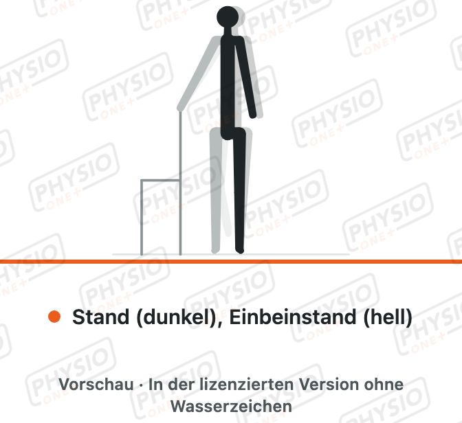 Vorschau: Einbeinstand mit Festhalten
