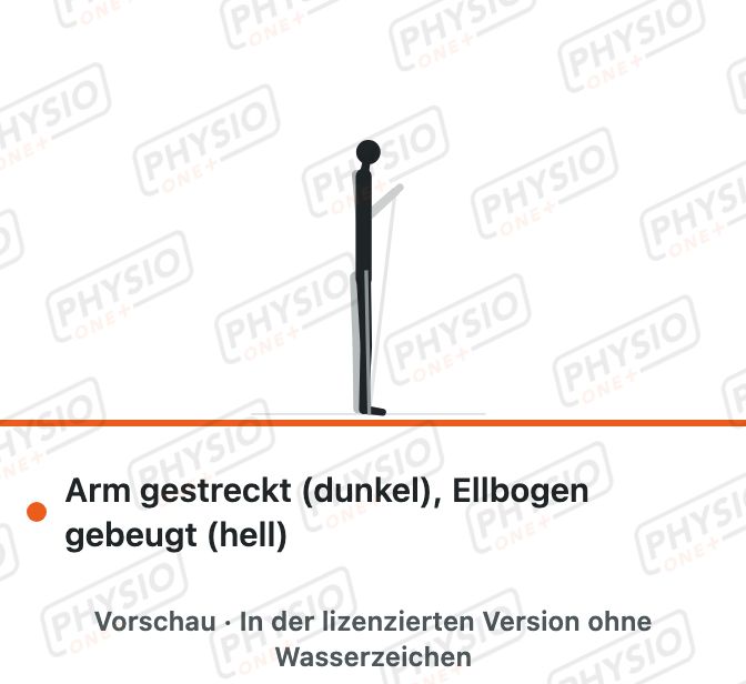 Vorschau: Ellbogen beugen gegen Band