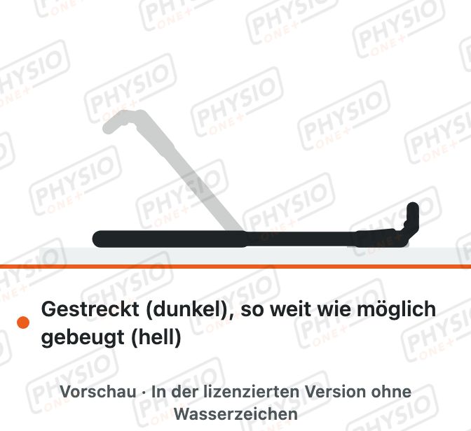 Vorschau: Ellbogen beugen und strecken nach Ruhigstellung