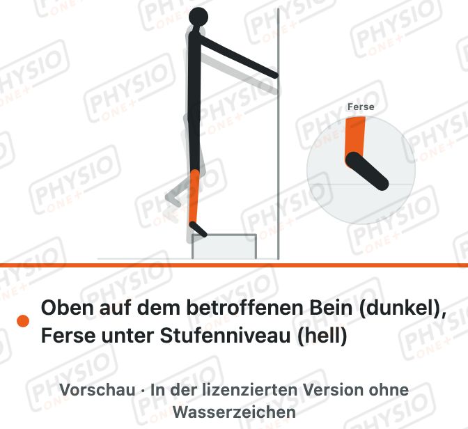 Vorschau: Langsames Fersensenken an der Stufe (exzentrisch)