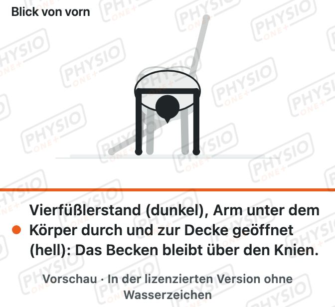 Vorschau: Faden einfädeln im Vierfüßlerstand