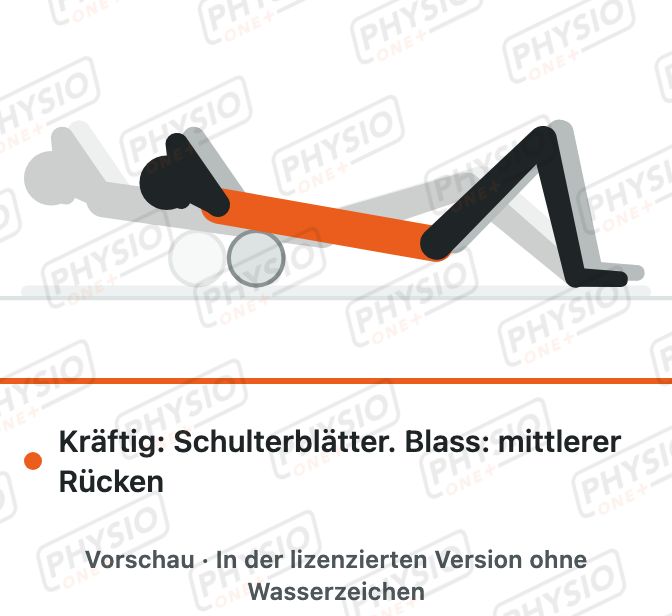 Vorschau: Brustwirbelsäule auf der Faszienrolle