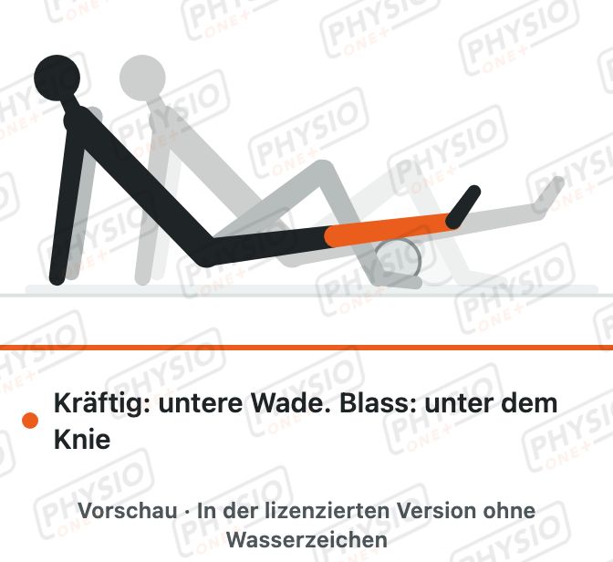 Vorschau: Wade auf der Faszienrolle