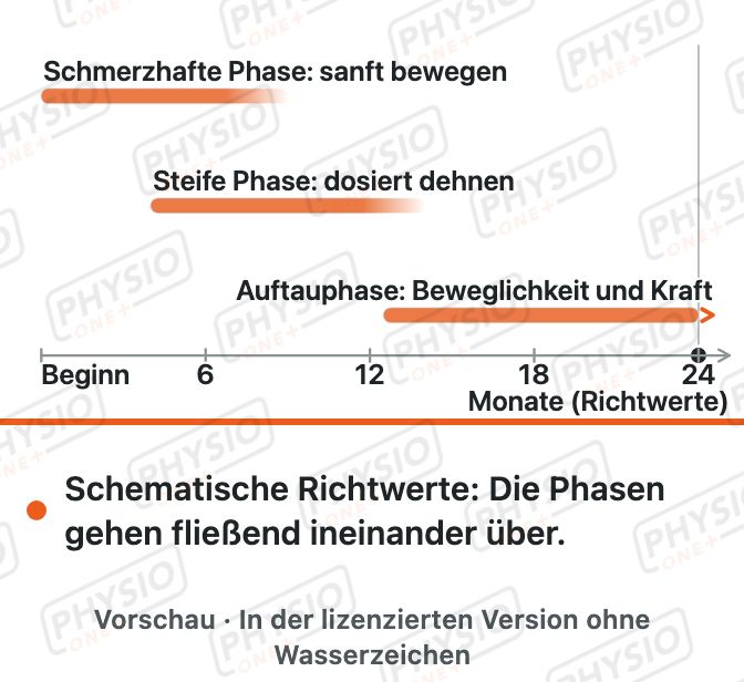 Vorschau: Schultersteife (Frozen Shoulder): drei Phasen