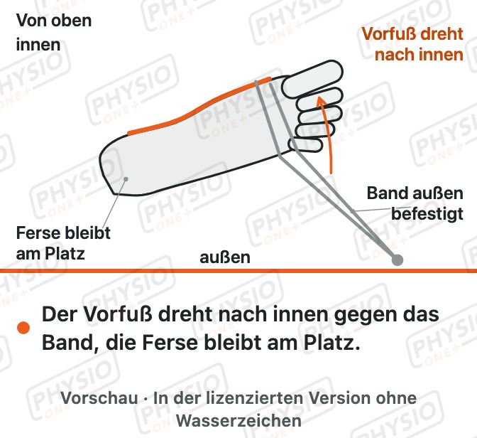 Vorschau: Fuß nach innen drehen gegen Übungsband