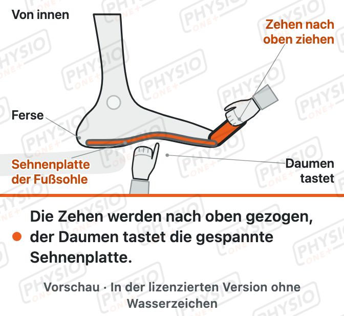 Vorschau: Fußsohle dehnen im Sitz