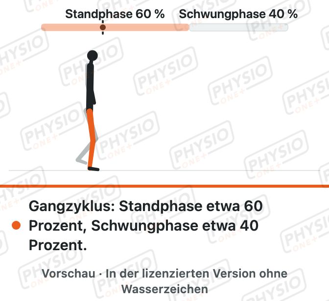 Vorschau: Der Gangzyklus