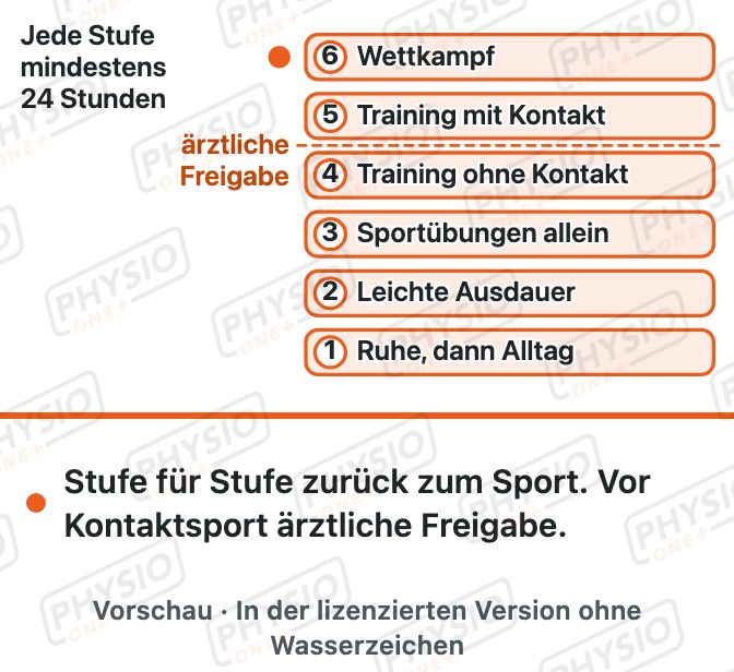 Vorschau: Nach Gehirnerschütterung: stufenweise zurück