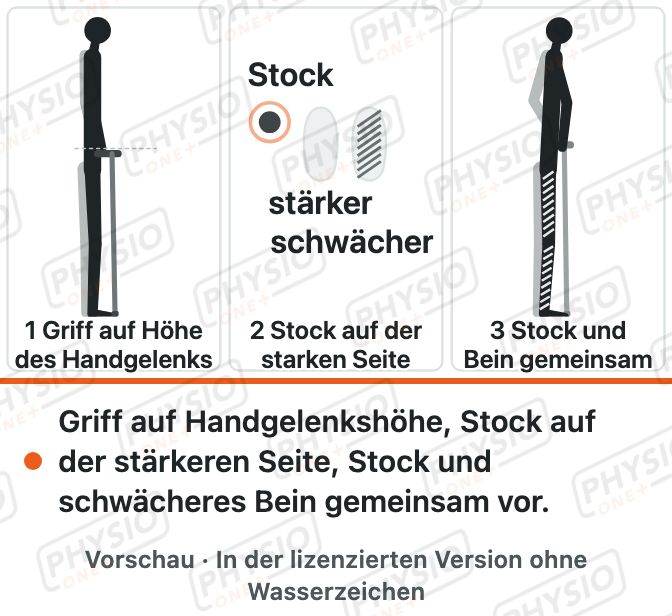 Vorschau: Gehstock: Höhe und richtige Seite