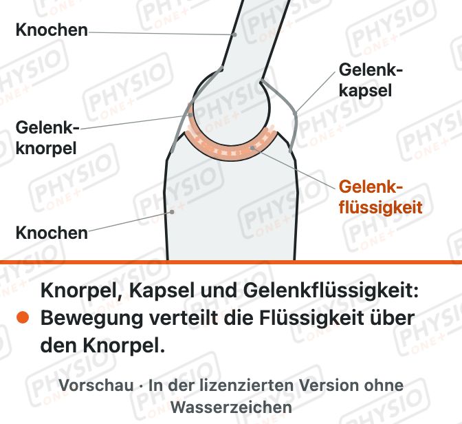Vorschau: Aufbau eines Gelenks