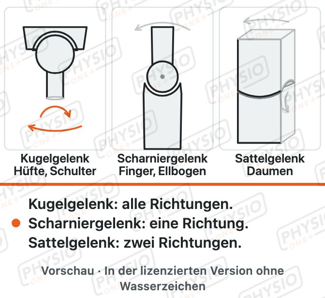 Vorschau: Gelenkformen im Körper