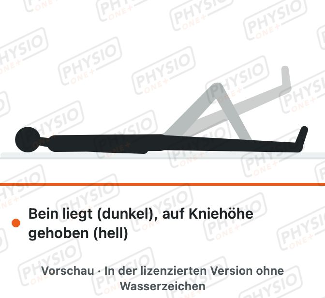 Vorschau: Gestrecktes Beinheben