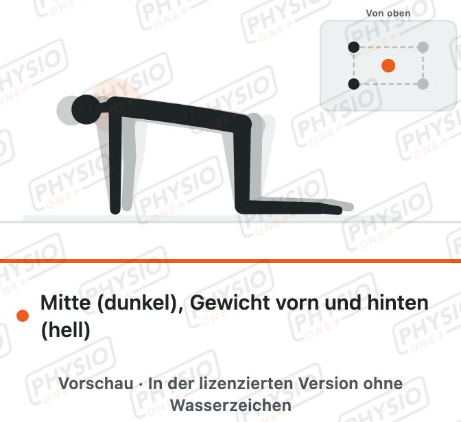 Vorschau: Gewicht auf die Arme verlagern im Vierfüßlerstand