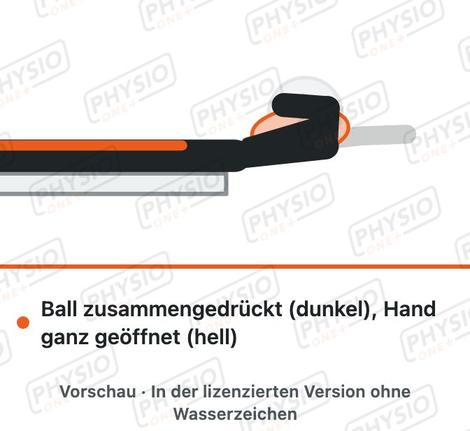 Vorschau: Griffkraft mit dem Knetball