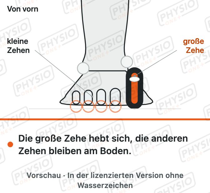 Vorschau: Große Zehe heben, andere bleiben unten