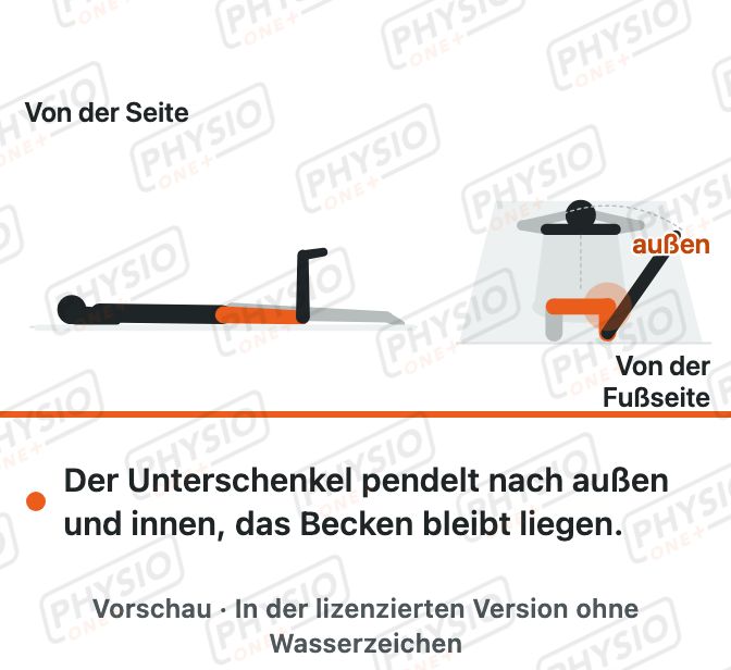 Vorschau: Hüfte drehen in Bauchlage (Hüftrotation)