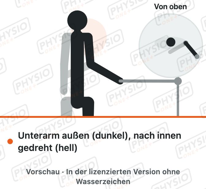 Vorschau: Innenrotation mit Übungsband
