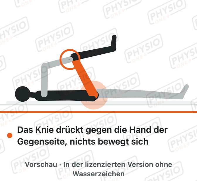 Vorschau: Kreuzdarmbeingelenk (ISG) stabilisieren: Knie gegen die Hand drücken