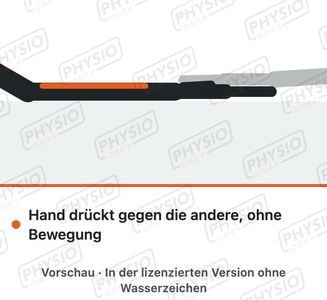 Vorschau: Halten ohne Bewegung für die Handgelenkbeuger (isometrisch)