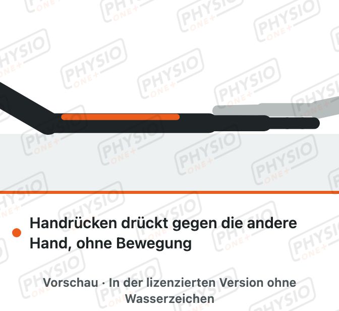 Vorschau: Halten ohne Bewegung für die Handgelenkstrecker (isometrisch)