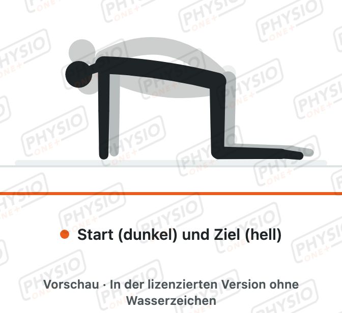 Vorschau: Katzenbuckel und Pferderücken