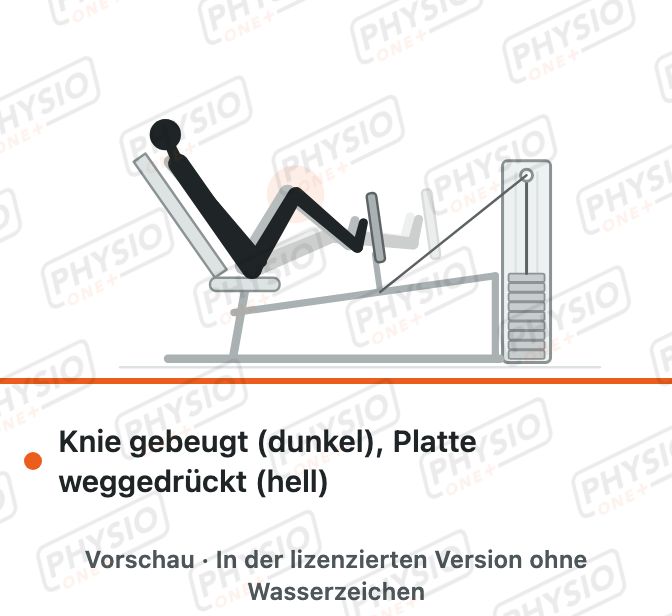 Vorschau: Beinpresse am Gerät