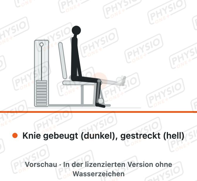 Vorschau: Beinstrecker am Gerät