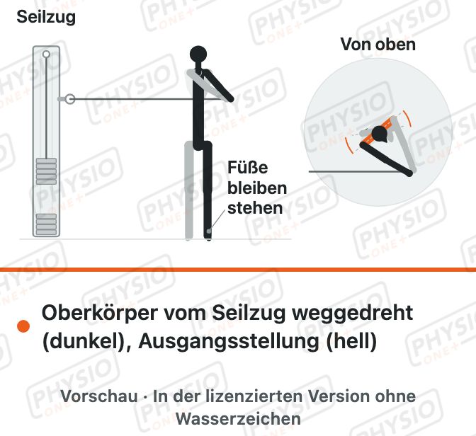 Vorschau: Rumpfdrehung am Seilzug