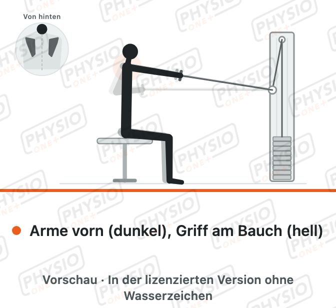 Vorschau: Rudern am Seilzug