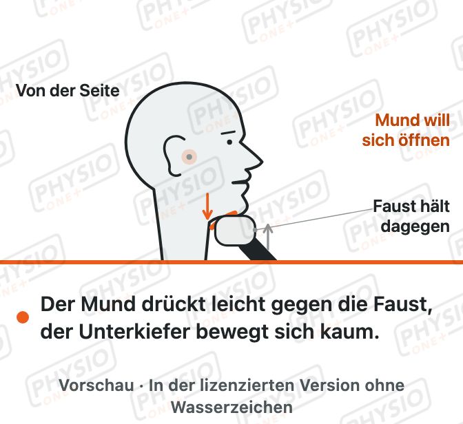 Vorschau: Kieferöffnung gegen leichten Widerstand