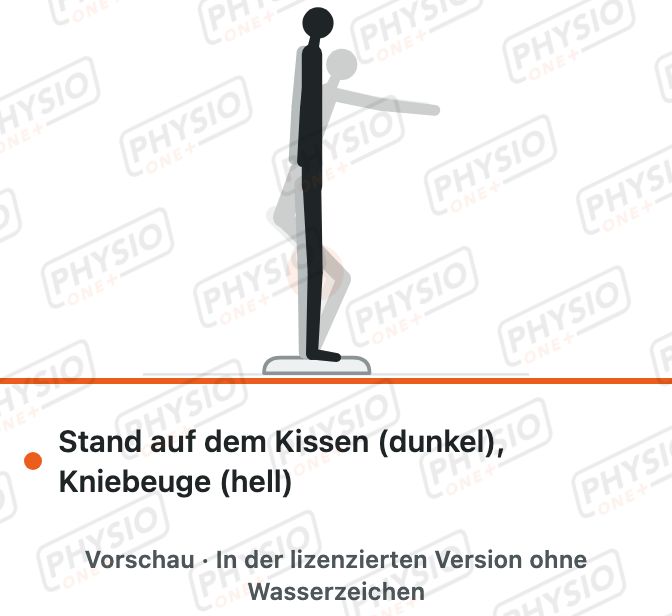 Vorschau: Kniebeuge auf dem Balancekissen
