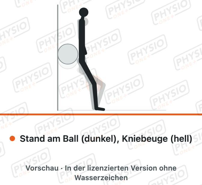 Vorschau: Kniebeuge mit Ball an der Wand