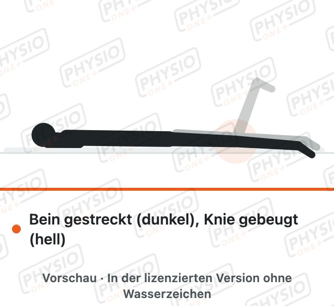 Vorschau: Knie beugen in Bauchlage