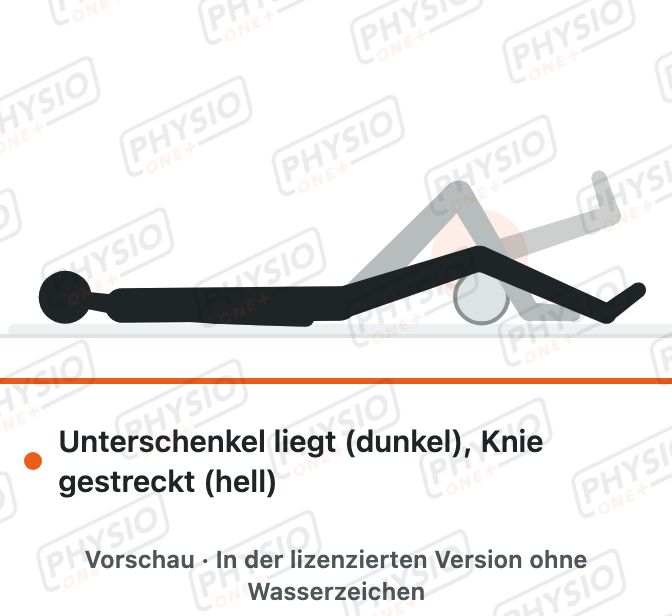 Vorschau: Kniestreckung über der Rolle