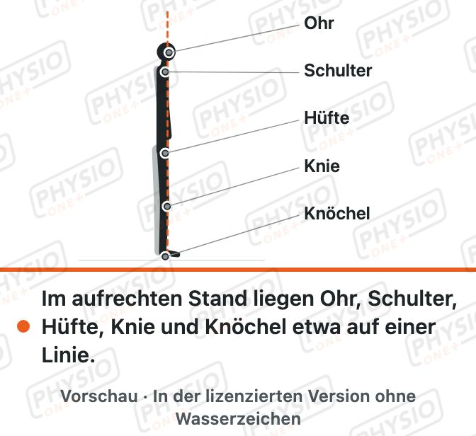 Vorschau: Das Körperlot im Stand