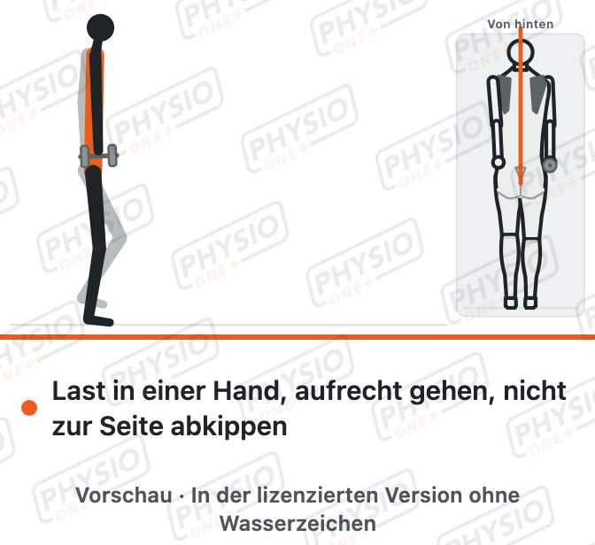 Vorschau: Tragen mit einer Hand (Koffertragen)