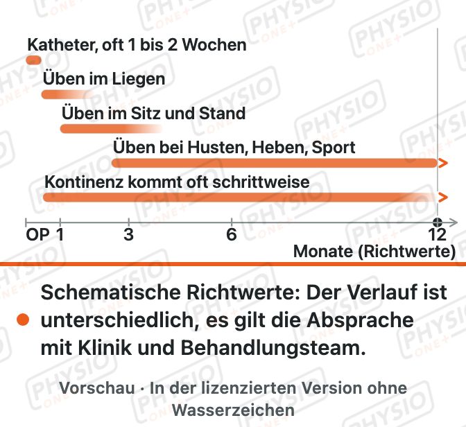 Vorschau: Kontinenz nach Prostata-OP: Schritte