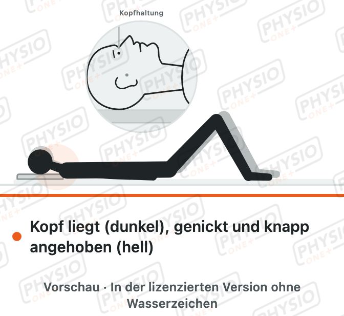 Vorschau: Kopf leicht anheben und halten in Rückenlage