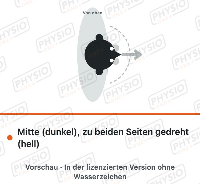 Vorschau: Kopfdrehen im Sitz