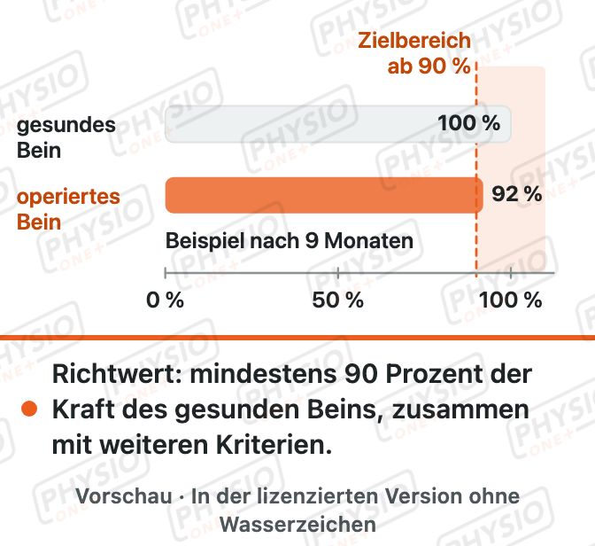 Vorschau: Kraft im Seitenvergleich