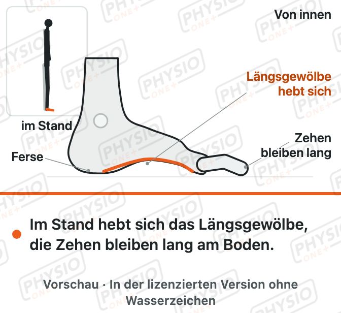 Vorschau: Kurzer Fuß im Stand
