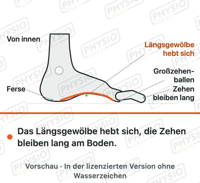 Vorschau: Kurzer Fuß (Fußgewölbe aufrichten)