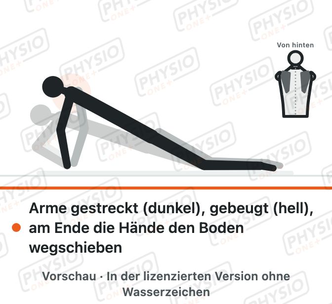 Vorschau: Liegestütz auf den Knien mit Schulterblattschub