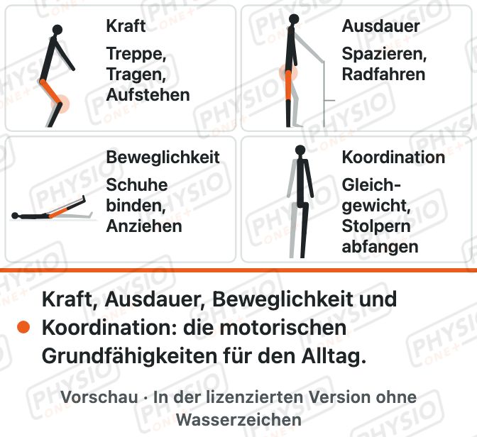 Vorschau: Kraft, Ausdauer, Beweglichkeit, Koordination